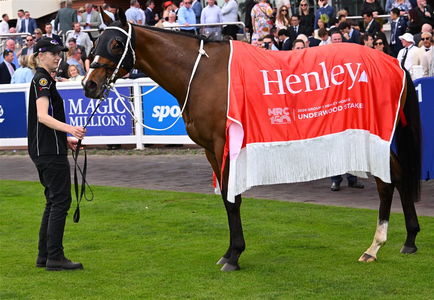 MELBOURNE, AUSTRALIA - SEPTEMBER 19: Birdman after winning race 7, the Henley Homes Underwood Stakes during Melbourne Racing at Caulfield Racecourse on September 19, 2026 in Melbourne, Australia. (Photo by Vince Caligiuri/Getty Images)