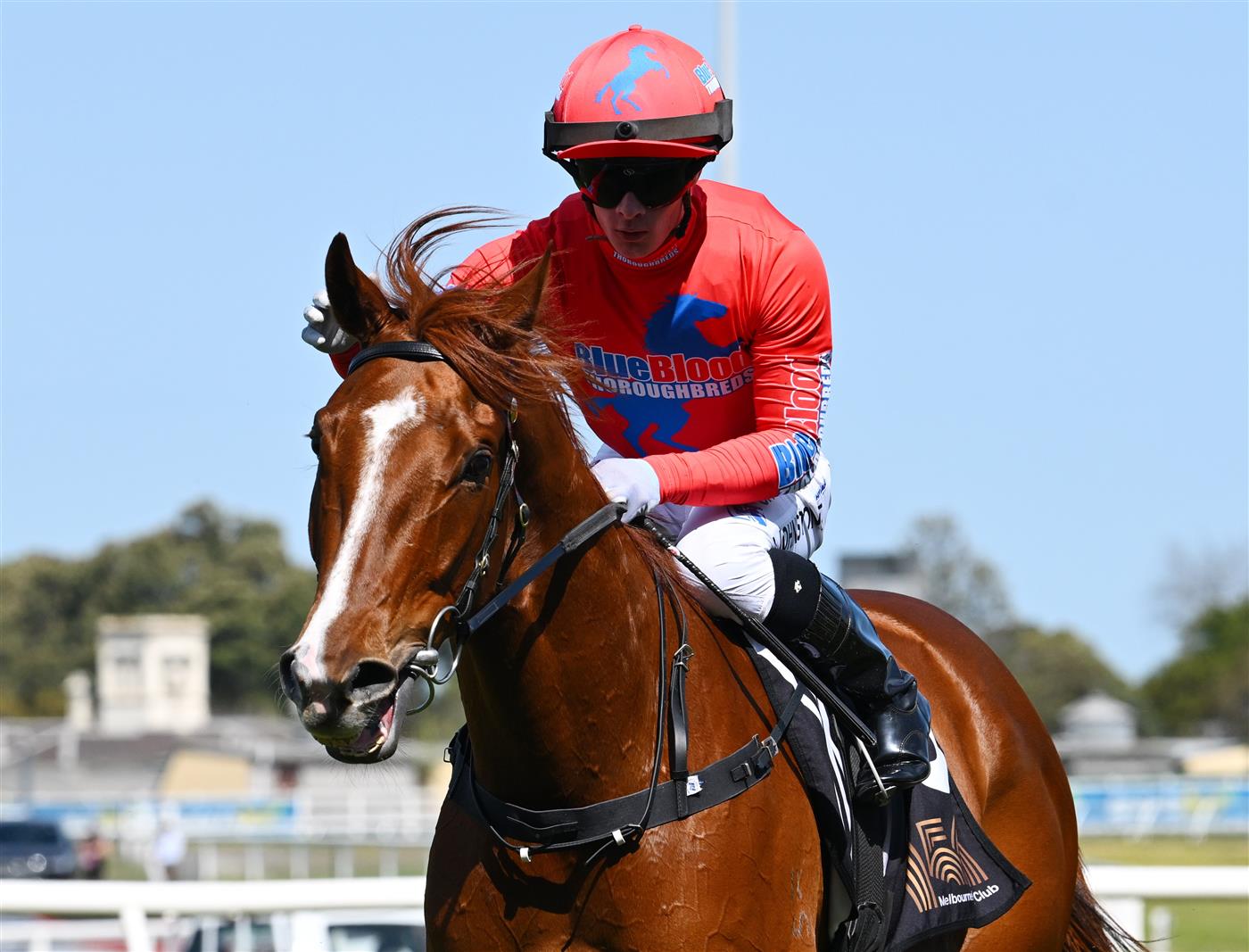 MELBOURNE, AUSTRALIA - SEPTEMBER 19: Jabez Johnstone riding Emperor Tzu after winning race 1, the The Taggart during Melbourne Racing at Caulfield Racecourse on September 19, 2026 in Melbourne, Australia. (Photo by Vince Caligiuri/Getty Images)