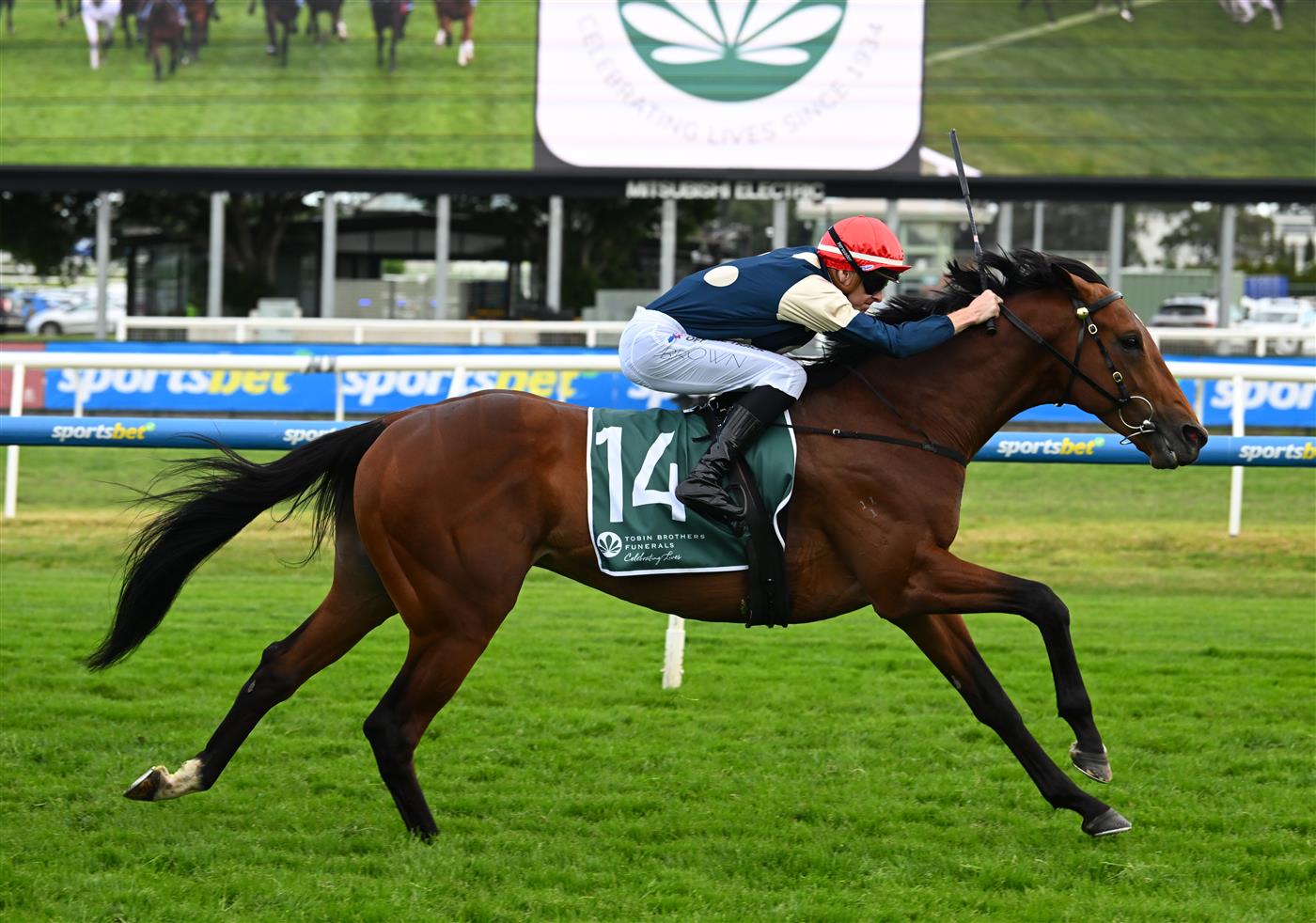 MELBOURNE, AUSTRALIA - SEPTEMBER 19: Ethan Brown riding Zahrann winning race 8, the Tobin Brothers Naturalism Stakes  during Melbourne Racing at Caulfield Racecourse on September 19, 2026 in Melbourne, Australia. (Photo by Vince Caligiuri/Getty Images)