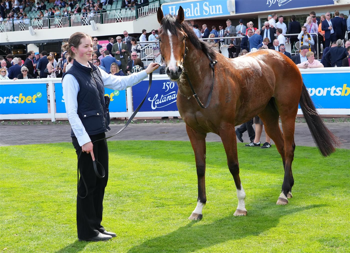 MELBOURNE, AUSTRALIA - SEPTEMBER 19: Icelady after winning race 4, the Manhari Thousand Guineas Prelude  during Melbourne Racing at Caulfield Racecourse on September 19, 2026 in Melbourne, Australia. (Photo by Vince Caligiuri/Getty Images)