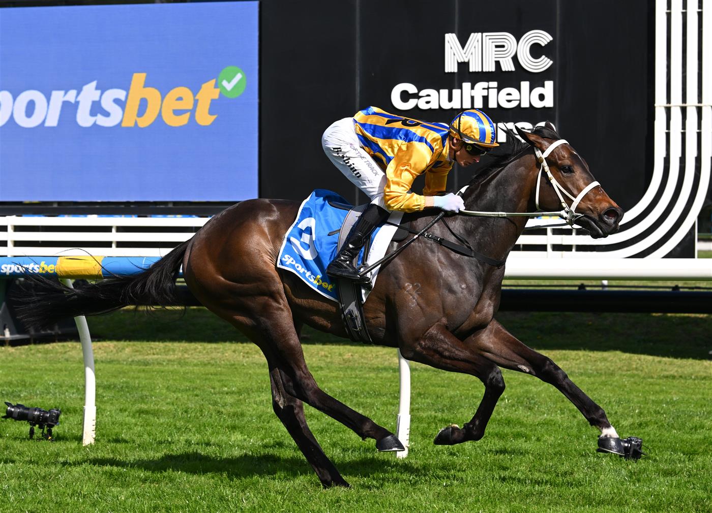 MELBOURNE, AUSTRALIA - SEPTEMBER 19: Blake Shinn riding Blind Raise winning race 5, the Sportsbet Caulfield Guineas Prelude during Melbourne Racing at Caulfield Racecourse on September 19, 2026 in Melbourne, Australia. (Photo by Vince Caligiuri/Getty Images)