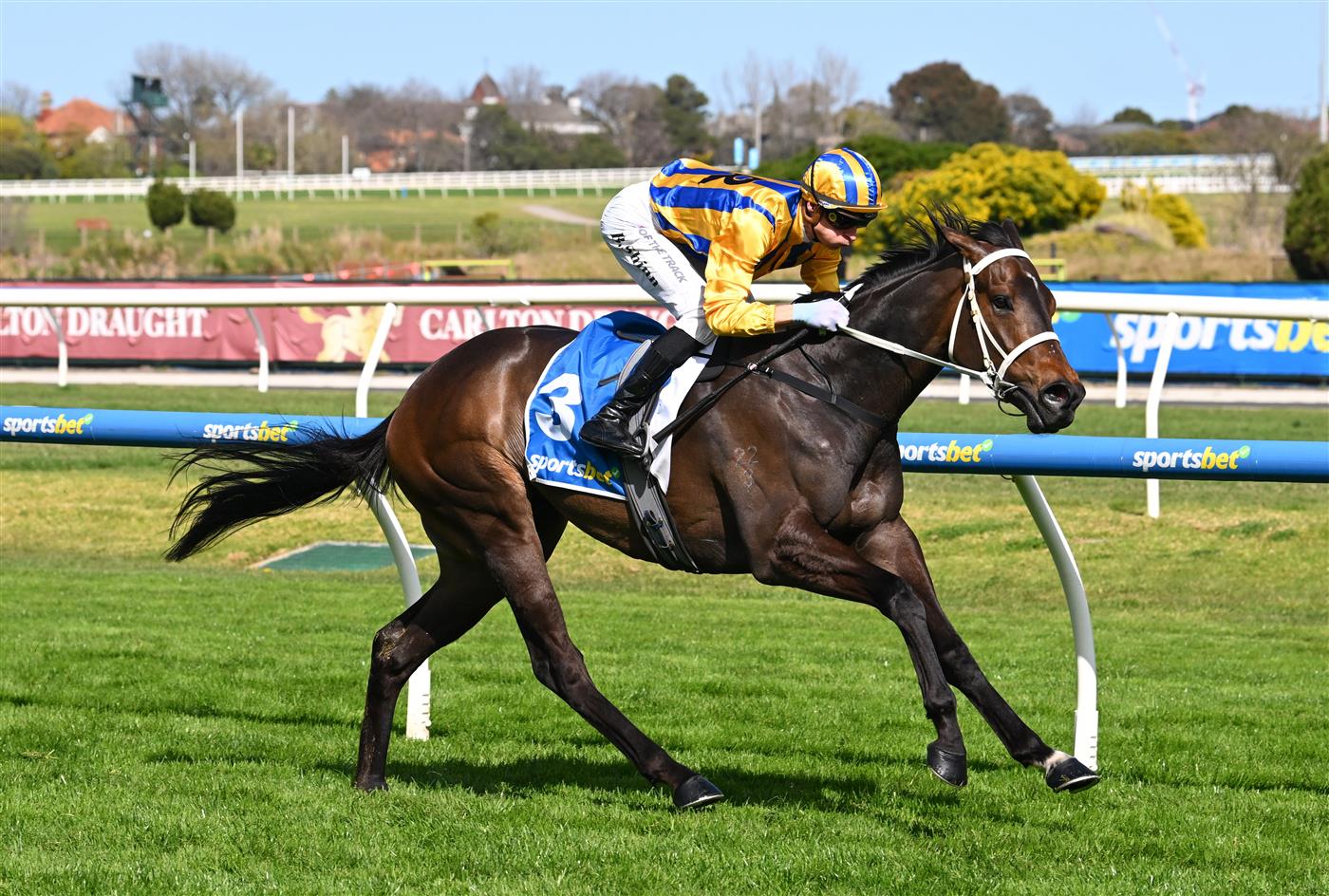 MELBOURNE, AUSTRALIA - SEPTEMBER 19: Blake Shinn riding Blind Raise winning race 5, the Sportsbet Caulfield Guineas Prelude during Melbourne Racing at Caulfield Racecourse on September 19, 2026 in Melbourne, Australia. (Photo by Vince Caligiuri/Getty Images)