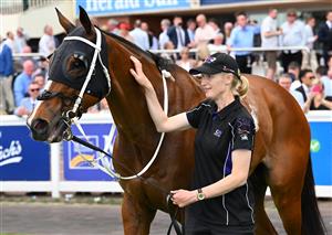 MELBOURNE, AUSTRALIA - SEPTEMBER 19: Birdman after winning race 7, the Henley Homes Underwood Stakes during Melbourne Racing at Caulfield Racecourse on September 19, 2026 in Melbourne, Australia. (Photo by Vince Caligiuri/Getty Images)