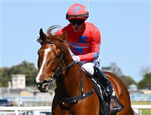 MELBOURNE, AUSTRALIA - SEPTEMBER 19: Jabez Johnstone riding Emperor Tzu after winning race 1, the The Taggart during Melbourne Racing at Caulfield Racecourse on September 19, 2026 in Melbourne, Australia. (Photo by Vince Caligiuri/Getty Images)