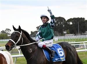 MELBOURNE, AUSTRALIA - SEPTEMBER 19: Ben Melham riding Angel Capital after winning race 9, the Sportsbet Sir Rupert Clarke Stakes during Melbourne Racing at Caulfield Racecourse on September 19, 2026 in Melbourne, Australia. (Photo by Vince Caligiuri/Getty Images)