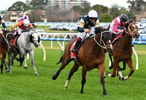 MELBOURNE, AUSTRALIA - SEPTEMBER 19: Ben Melham riding Birdman defeats William Pike riding Cosmic Crusader in race 7, the Henley Homes Underwood Stakes during Melbourne Racing at Caulfield Racecourse on September 19, 2026 in Melbourne, Australia. (Photo by Vince Caligiuri/Getty Images)