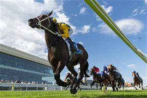 MELBOURNE, AUSTRALIA - SEPTEMBER 19: Blake Shinn riding Blind Raise winning race 5, the Sportsbet Caulfield Guineas Prelude during Melbourne Racing at Caulfield Racecourse on September 19, 2026 in Melbourne, Australia. (Photo by Vince Caligiuri/Getty Images)