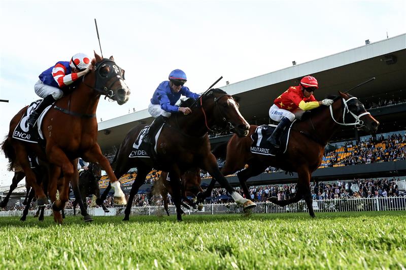SYDNEY, AUSTRALIA - SEPTEMBER 23: Joao Moreira riding Militarize wins Race 8 KIA Golden Rose during "Kia Golden Rose Day" - Sydney Racing at Rosehill Gardens on September 23, 2023 in Sydney, Australia. (Photo by Jeremy Ng/Getty Images)