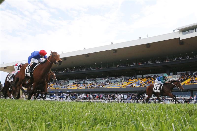 SYDNEY, AUSTRALIA - SEPTEMBER 24: Damian Lane on Jacquinot (R) wins the Golden Rose from James McDonald on In Secret (L) during Sydney Racing at Royal Randwick Racecourse on September 24, 2022 in Sydney, Australia. (Photo by Mark Evans/Getty Images)