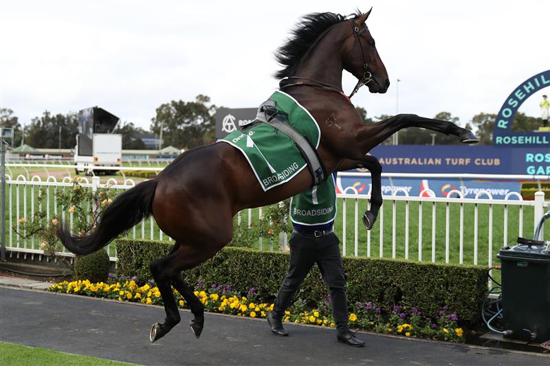 SYDNEY, AUSTRALIA - SEPTEMBER 28: James McDonald riding Broadsiding prepares for Race 8 James Squire Golden Rose during "Golden Rose Day" Sydney Racing at Rosehill Gardens on September 28, 2024 in Sydney, Australia. (Photo by Jeremy Ng/Getty Images)