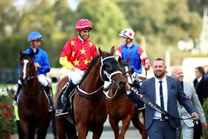 SYDNEY, AUSTRALIA - SEPTEMBER 23: Joao Moreira riding Militarize wins Race 8 KIA Golden Rose during "Kia Golden Rose Day" - Sydney Racing at Rosehill Gardens on September 23, 2023 in Sydney, Australia. (Photo by Jeremy Ng/Getty Images)