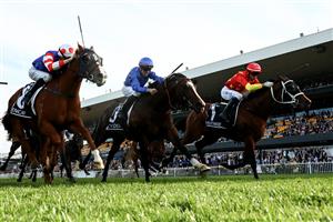 SYDNEY, AUSTRALIA - SEPTEMBER 23: Joao Moreira riding Militarize wins Race 8 KIA Golden Rose during "Kia Golden Rose Day" - Sydney Racing at Rosehill Gardens on September 23, 2023 in Sydney, Australia. (Photo by Jeremy Ng/Getty Images)