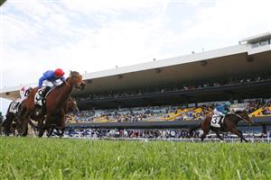 SYDNEY, AUSTRALIA - SEPTEMBER 24: Damian Lane on Jacquinot (R) wins the Golden Rose from James McDonald on In Secret (L) during Sydney Racing at Royal Randwick Racecourse on September 24, 2022 in Sydney, Australia. (Photo by Mark Evans/Getty Images)