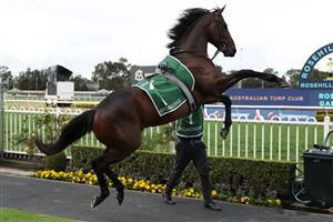 SYDNEY, AUSTRALIA - SEPTEMBER 28: James McDonald riding Broadsiding prepares for Race 8 James Squire Golden Rose during "Golden Rose Day" Sydney Racing at Rosehill Gardens on September 28, 2024 in Sydney, Australia. (Photo by Jeremy Ng/Getty Images)