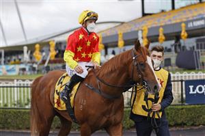 SYDNEY, AUSTRALIA - SEPTEMBER 25: Tim Clark on In The Congo returns to scale after winning race 8 the XXXX Golden Rose during Sydney Racing on Golden Rose Day at Rosehill Gardens on September 25, 2021 in Sydney, Australia. (Photo by Mark Evans/Getty Images)