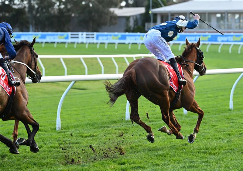 MELBOURNE, AUSTRALIA - SEPTEMBER 27: Ethan Brown riding  Jimmysstar winning race 8, the Ladbrokes Manikato Stakes  during Melbourne Racing at Caulfield Racecourse on September 27, 2026 in Melbourne, Australia. (Photo by Vince Caligiuri/Getty Images)