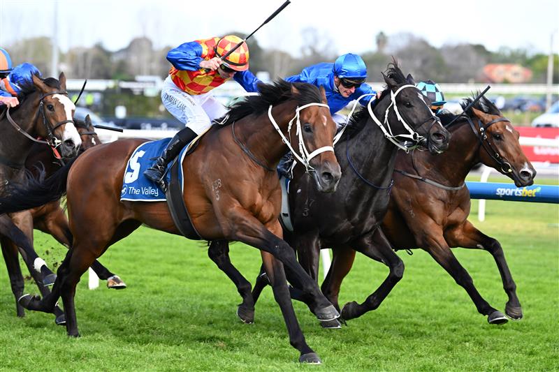 MELBOURNE, AUSTRALIA - SEPTEMBER 27: James McDonald riding Diameter defeats Damian Lane riding Somethings Burnin' in the Group 2 Stutt Stakes at Caulfield on September 27. (Getty)