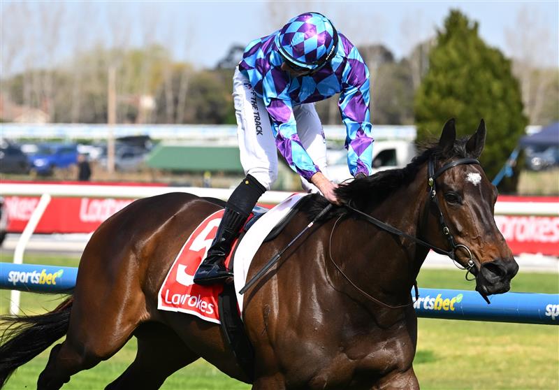 MELBOURNE, AUSTRALIA - SEPTEMBER 27: Declan Bates riding Pride of Jenni winning race 5, the Ladbrokes Feehan Stakes during Melbourne Racing at Caulfield Racecourse on September 27, 2026 in Melbourne, Australia. (Photo by Vince Caligiuri/Getty Images)