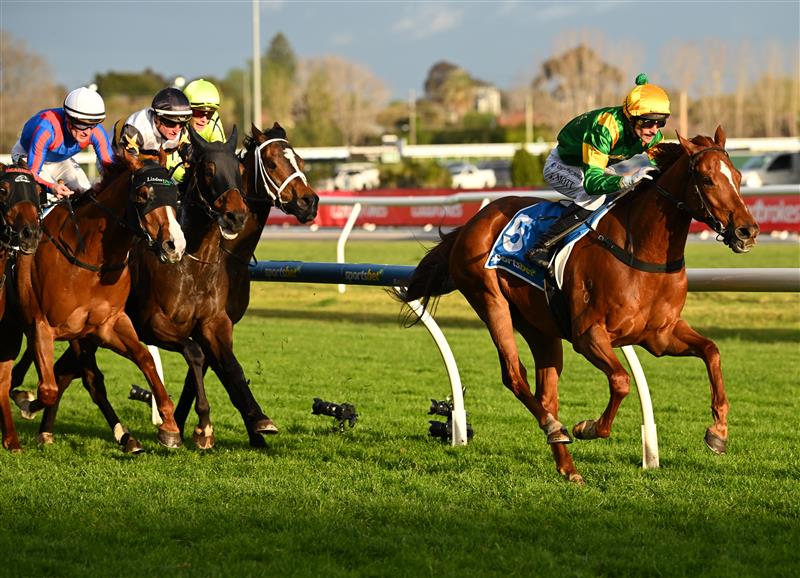 MELBOURNE, AUSTRALIA - SEPTEMBER 27: Jamie Mott riding Regal Zeus winning race 9, the Sportsbet Testa Rossa Stakes during Melbourne Racing at Caulfield Racecourse on September 27, 2026 in Melbourne, Australia. (Photo by Vince Caligiuri/Getty Images)