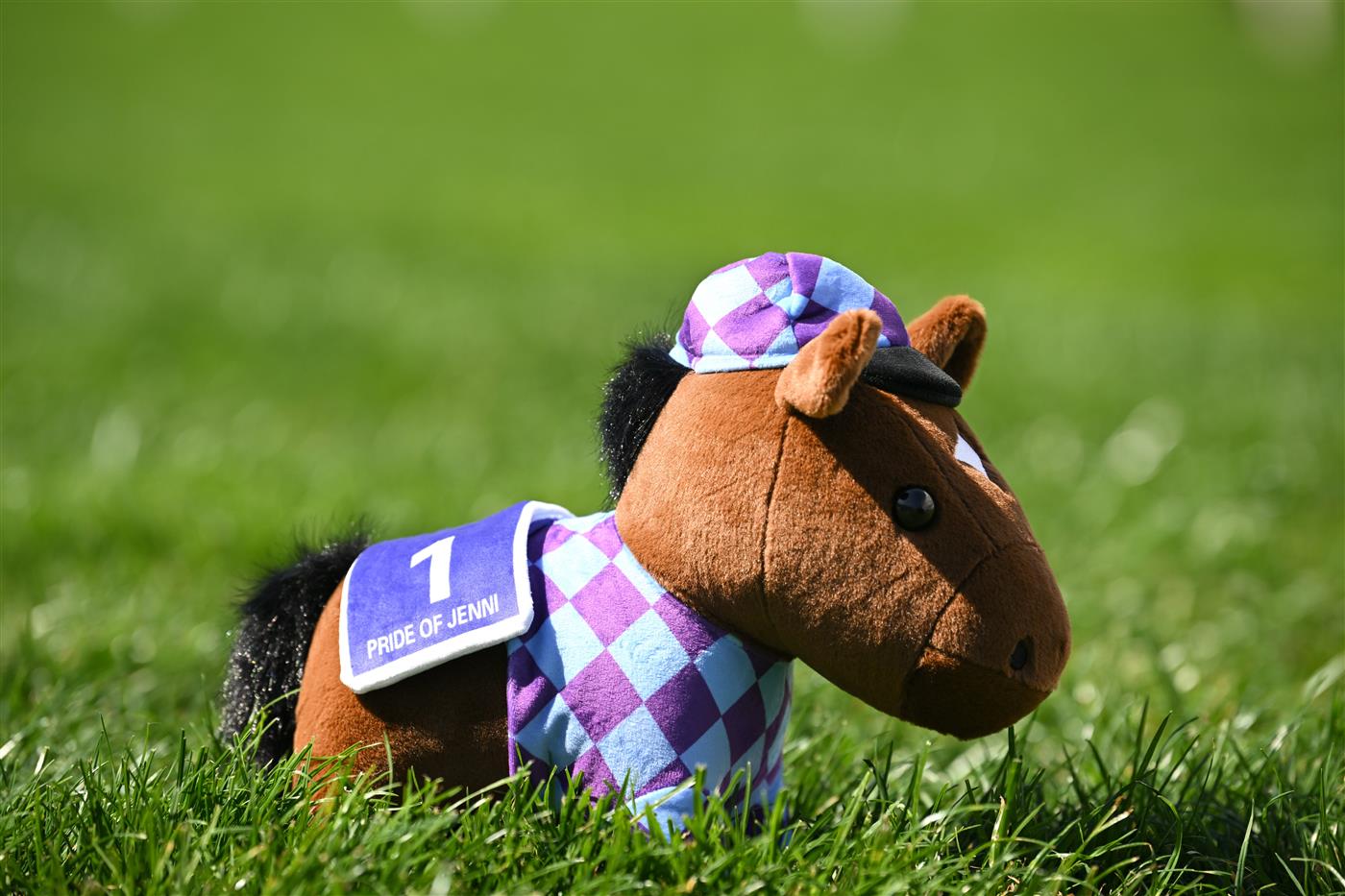 MELBOURNE, AUSTRALIA - SEPTEMBER 27: Pride of Jenni Plushie is seen during Melbourne Racing at Caulfield Racecourse on September 27, 2026 in Melbourne, Australia. (Photo by Vince Caligiuri/Getty Images)