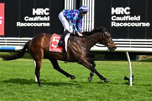 MELBOURNE, AUSTRALIA - SEPTEMBER 27: Declan Bates riding Pride of Jenni winning race 5, the Ladbrokes Feehan Stakes during Melbourne Racing at Caulfield Racecourse on September 27, 2026 in Melbourne, Australia. (Photo by Vince Caligiuri/Getty Images)