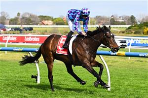MELBOURNE, AUSTRALIA - SEPTEMBER 27: Declan Bates riding Pride of Jenni winning race 5, the Ladbrokes Feehan Stakes during Melbourne Racing at Caulfield Racecourse on September 27, 2026 in Melbourne, Australia. (Photo by Vince Caligiuri/Getty Images)