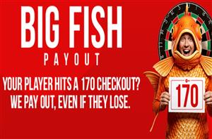 Virgin Bet Big Fish