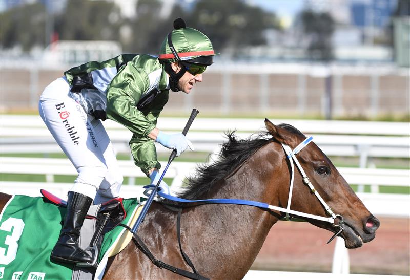 MELBOURNE, AUSTRALIA - OCTOBER 02: Brett Prebble riding Incentivise winning Race 7, the Tab Turnbull Stakes, during Melbourne Racing at Flemington Racecourse on October 02, 2021 in Melbourne, Australia. (Photo by Vince Caligiuri/Getty Images)