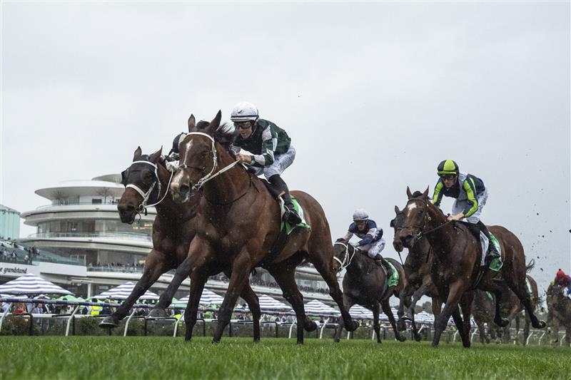 MELBOURNE, AUSTRALIA - OCTOBER 05: Damian Lane riding Via Sistina defeats Joao Moreira riding Buckaroo in Race 8, theTab Turnbull Stakes - Betting Odds during Melbourne Racing at Flemington Racecourse on October 05, 2024 in Melbourne, Australia. (Photo by Vince Caligiuri/Getty Images)
