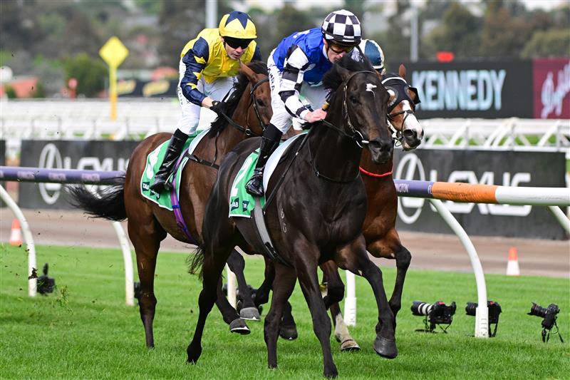 MELBOURNE, AUSTRALIA - OCTOBER 07: Mark Zahra riding Gold Trip defeats Jamie Spencer riding West Wind Blows in Race 8, the Tab Turnbull Stakes, during Melbourne Racing at Flemington Racecourse on October 07, 2023 in Melbourne, Australia. (Photo by Vince Caligiuri/Getty Images)