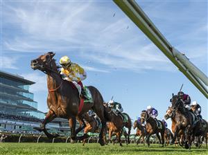 MELBOURNE, AUSTRALIA - OCTOBER 04: Craig Williams riding Sir Delius defeats Blake Shinn riding Antino in Race 8, the Tab Turnbull Stakes  during Melbourne Racing at Flemington Racecourse on October 04, 2025 in Melbourne, Australia. (Photo by Vince Caligiuri/Getty Images)