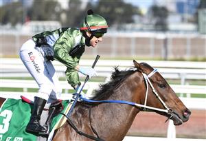 MELBOURNE, AUSTRALIA - OCTOBER 02: Brett Prebble riding Incentivise winning Race 7, the Tab Turnbull Stakes, during Melbourne Racing at Flemington Racecourse on October 02, 2021 in Melbourne, Australia. (Photo by Vince Caligiuri/Getty Images)