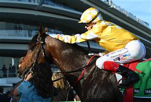 MELBOURNE, AUSTRALIA - OCTOBER 04: Craig Williams riding Sir Delius dismounts after winning Race 8, the Tab Turnbull Stakes  during Melbourne Racing at Flemington Racecourse on October 04, 2025 in Melbourne, Australia. (Photo by Vince Caligiuri/Getty Images)