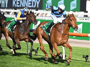 MELBOURNE, AUSTRALIA - OCTOBER 01: Ethan Brown riding Smokin' Romans to victory in the 2022 Turnbull Stakes. (Getty)