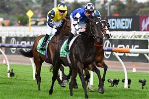 MELBOURNE, AUSTRALIA - OCTOBER 07: Mark Zahra riding Gold Trip defeats Jamie Spencer riding West Wind Blows in Race 8, the Tab Turnbull Stakes, during Melbourne Racing at Flemington Racecourse on October 07, 2023 in Melbourne, Australia. (Photo by Vince Caligiuri/Getty Images)