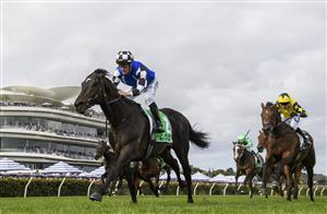 MELBOURNE, AUSTRALIA - OCTOBER 07: Mark Zahra riding Gold Trip defeats Jamie Spencer riding West Wind Blows and Craig Williams riding Soulcombe in Race 8, the Tab Turnbull Stakes, during Melbourne Racing at Flemington Racecourse on October 07, 2023 in Melbourne, Australia. (Photo by Vince Caligiuri/Getty Images)