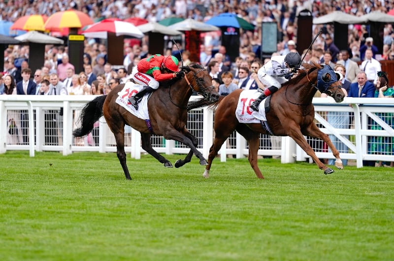 two tribes handicap two tribes handicap