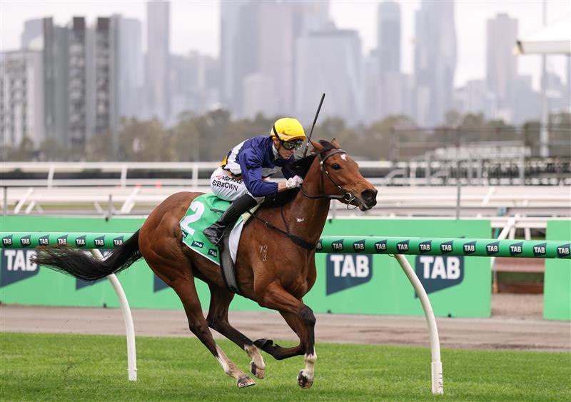 MELBOURNE, AUSTRALIA - OCTOBER 03: Ethan Brown riding #2 Saintly Dancer wins race 4, the Tab One Pool Edward Manifold Stakes during Turnbull Stakes Day at Flemington Racecourse on October 03, 2026 in Melbourne, Australia. (Photo by Robert Cianflone/Getty Images)
