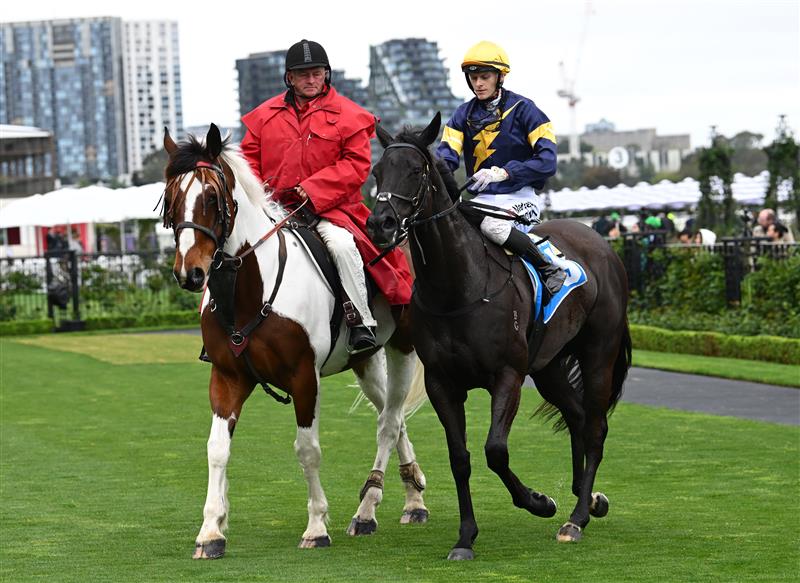 MELBOURNE, AUSTRALIA - OCTOBER 03: Ethan Brown riding Stylish after winning race 5, the Cirka Rose Of Kingston Stakes during Turnbull Stakes Day at Flemington Racecourse on October 03, 2026 in Melbourne, Australia. (Photo by Vince Caligiuri/Getty Images)