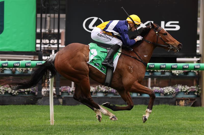 MELBOURNE, AUSTRALIA - OCTOBER 03: Ethan Brown riding #2 Saintly Dancer wins race 4, the Tab One Pool Edward Manifold Stakes during Turnbull Stakes Day at Flemington Racecourse on October 03, 2026 in Melbourne, Australia. (Photo by Robert Cianflone/Getty Images)