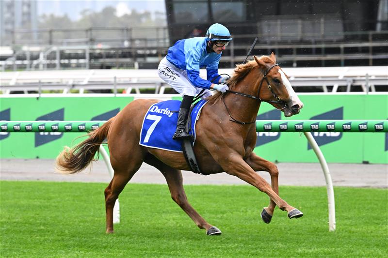 MELBOURNE, AUSTRALIA - OCTOBER 03: Jamie Mott riding Musandam winning race 1, the Darley Maribyrnong Trial Stakes during Turnbull Stakes Day at Flemington Racecourse on October 03, 2026 in Melbourne, Australia. (Photo by Vince Caligiuri/Getty Images)