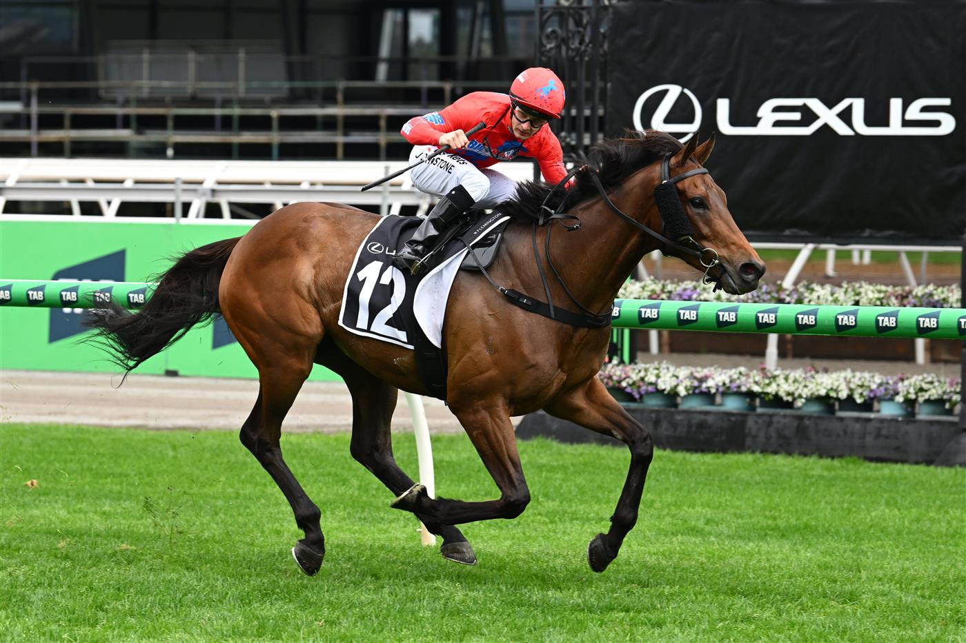 MELBOURNE, AUSTRALIA - OCTOBER 03: Jabez Johnstone riding Mr Monaco winning race 7, the The Lexus Bart Cummings during Turnbull Stakes Day at Flemington Racecourse on October 03, 2026 in Melbourne, Australia. (Photo by Vince Caligiuri/Getty Images)