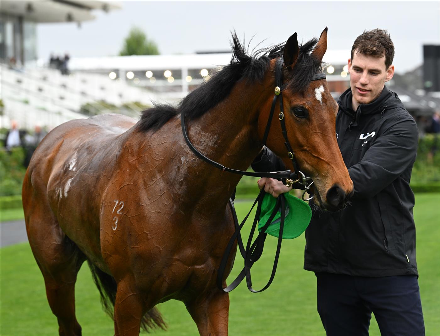 MELBOURNE, AUSTRALIA - OCTOBER 03: Saintly Dancer after winning race 4, the Tab One Pool Edward Manifold Stakes during Turnbull Stakes Day at Flemington Racecourse on October 03, 2026 in Melbourne, Australia. (Photo by Vince Caligiuri/Getty Images)
