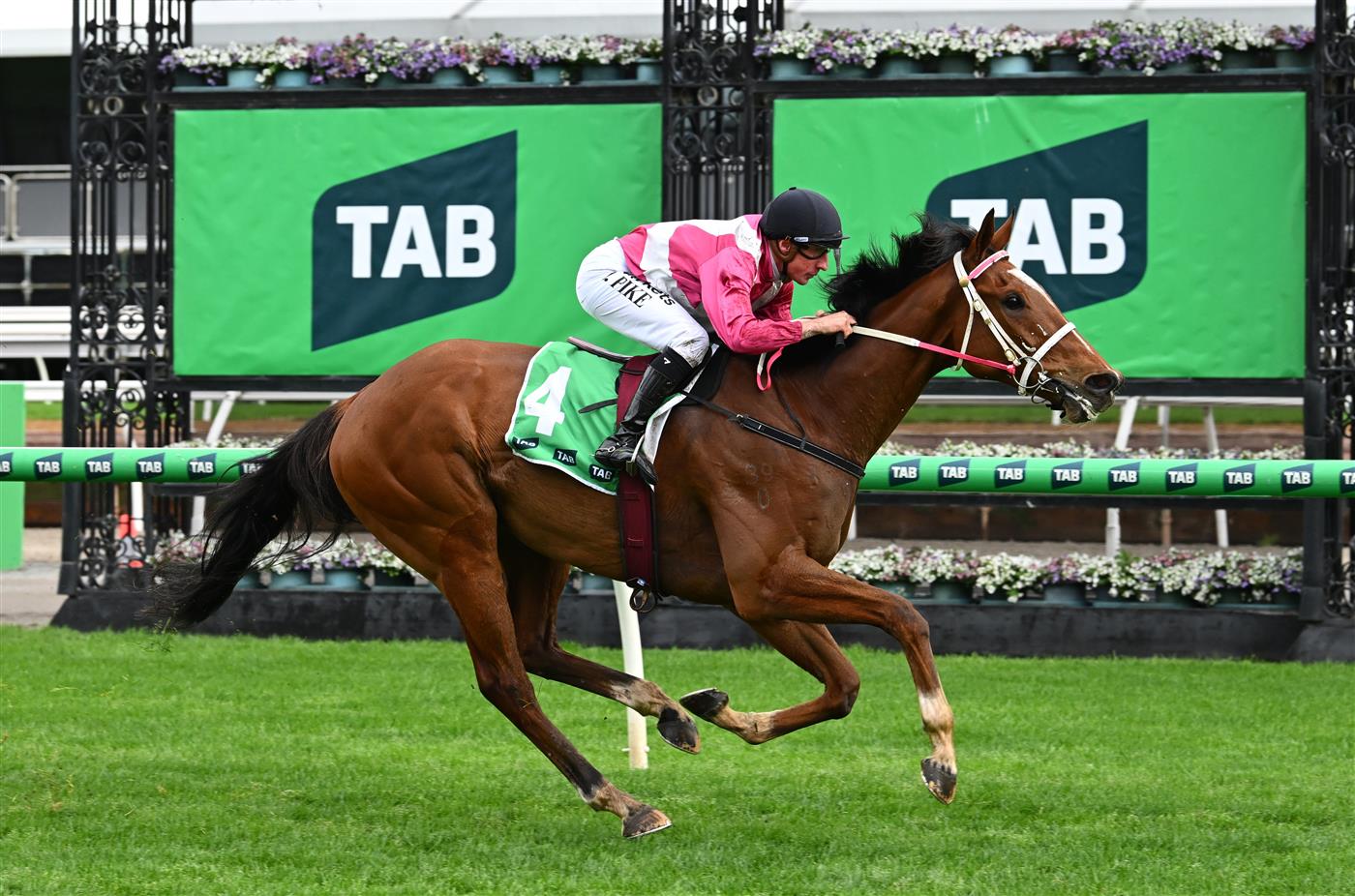 MELBOURNE, AUSTRALIA - OCTOBER 03: William Pike riding Cosmic Crusader winning race 8, the Tab Turnbull Stakes  during Turnbull Stakes Day at Flemington Racecourse on October 03, 2026 in Melbourne, Australia. (Photo by Vince Caligiuri/Getty Images)