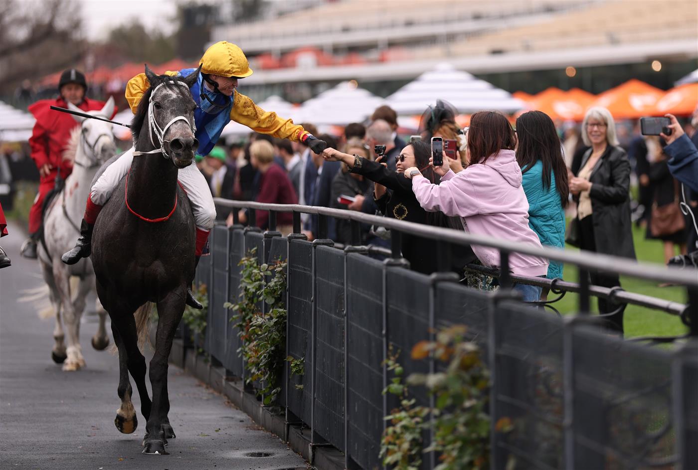 MELBOURNE, AUSTRALIA - OCTOBER 03: Craig Williams riding #20 Hankee Alpha celebrates after winning race 2, the Tab One Pool during Turnbull Stakes Day at Flemington Racecourse on October 03, 2026 in Melbourne, Australia. (Photo by Robert Cianflone/Getty Images)