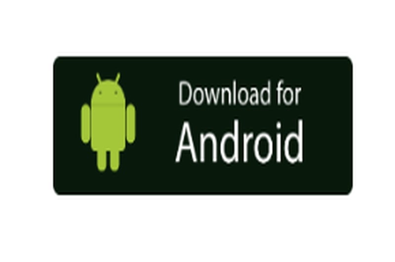 Shayabets App