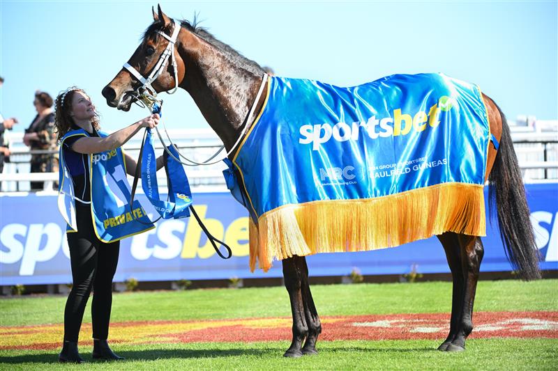 MELBOURNE, AUSTRALIA - OCTOBER 12: Private Life after winning Race 8, the Sportsbet Caulfield Guineas - Betting Odds during Melbourne Racing at Caulfield Racecourse on October 12, 2024 in Melbourne, Australia. (Photo by Vince Caligiuri/Getty Images)