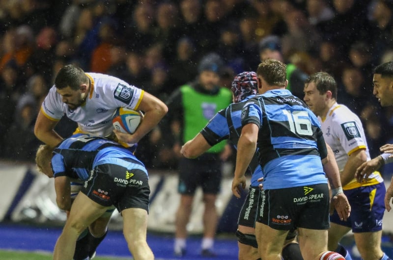 Leinster to win