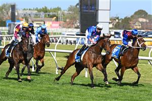 MELBOURNE, AUSTRALIA - OCTOBER 12: Damian Lane riding Private Life (r) defeats Billy Egan riding Feroce and Evaporate in Race 8, the Sportsbet Caulfield Guineas - Betting Odds during Melbourne Racing at Caulfield Racecourse on October 12, 2024 in Melbourne, Australia. (Photo by Vince Caligiuri/Getty Images)