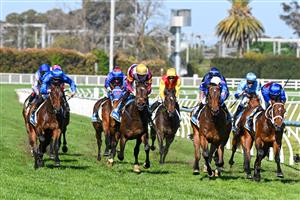 MELBOURNE, AUSTRALIA - OCTOBER 12: Damian Lane riding Private Life (r) defeats Billy Egan riding Feroce and Evaporate, James McDonald riding Broadsiding (L) was unplaced in Race 8, the Sportsbet Caulfield Guineas - Betting Odds during Melbourne Racing at Caulfield Racecourse on October 12, 2024 in Melbourne, Australia. (Photo by Vince Caligiuri/Getty Images)